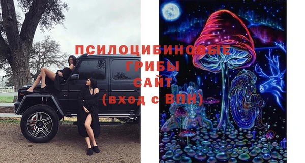 Альфа ПВП Гусь-Хрустальный