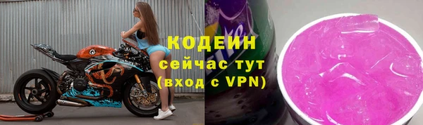 круглые Гусев