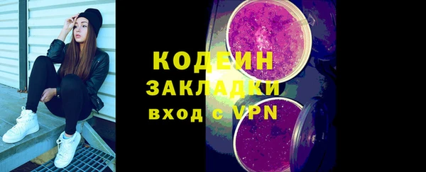 круглые Гусев