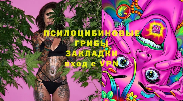 Альфа ПВП Гусь-Хрустальный