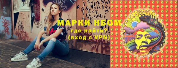 сатива Гусиноозёрск