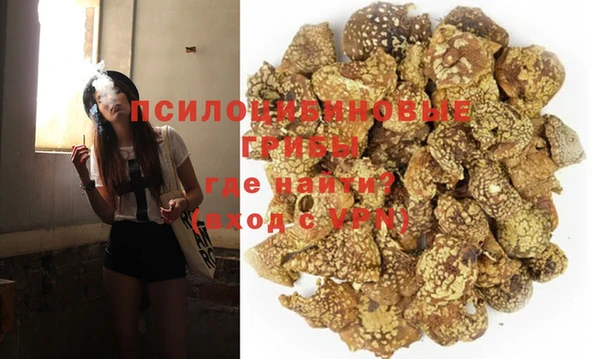 круглые Гусев