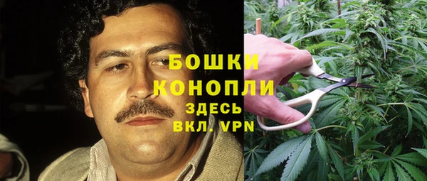 круглые Гусев