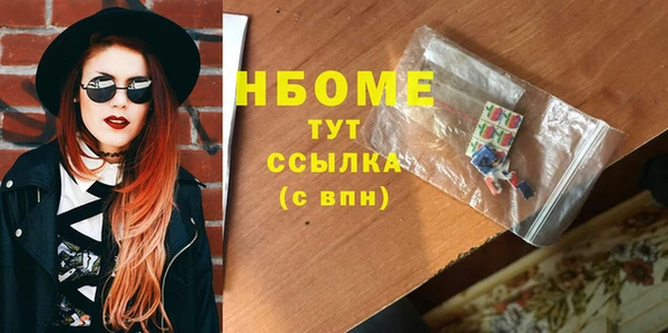 шишки Ельня